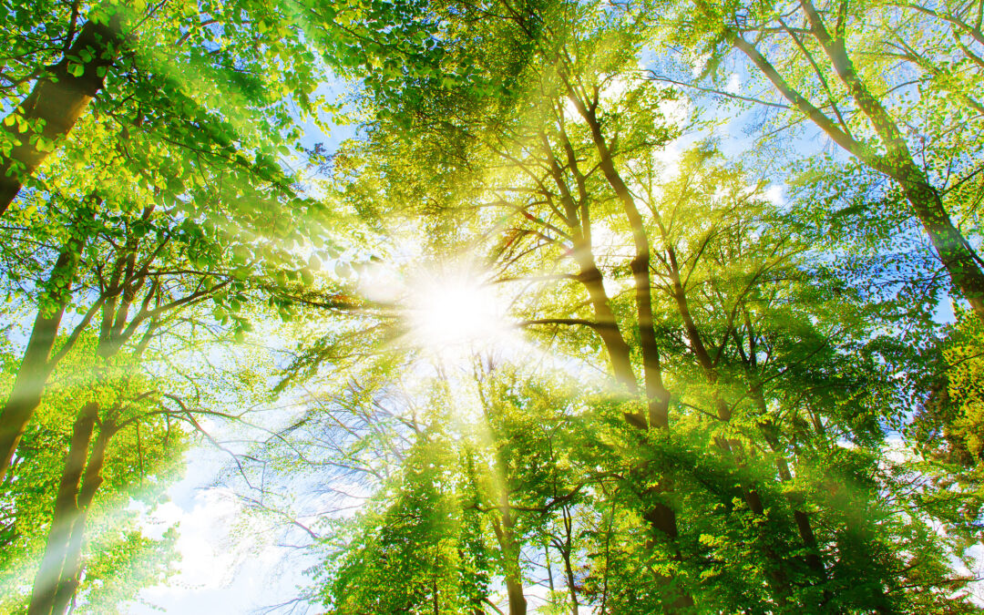 Why Outpatient Alcohol Treatment Is an Effective Recovery Option